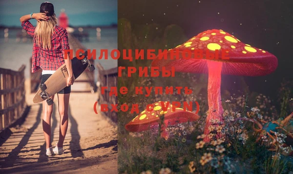 стафф Михайловск