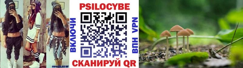 Псилоцибиновые грибы MAGIC MUSHROOMS  купить наркотики сайты  Бор 