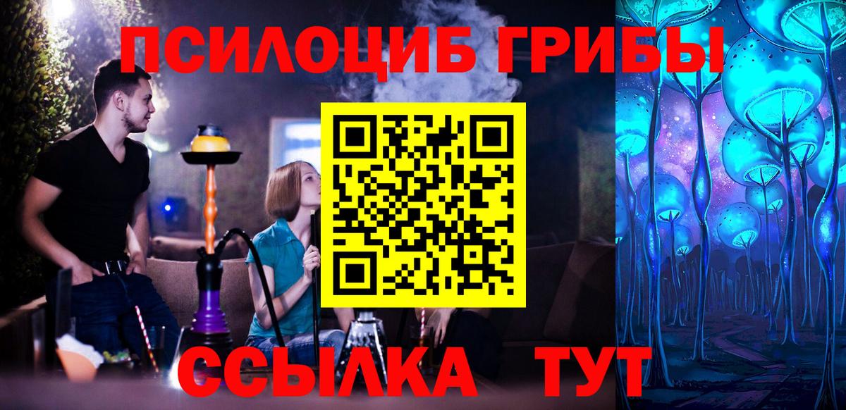 Галлюциногенные грибы Psilocybe  Бор  закладки  Галлюциногенные грибы ЛСД 