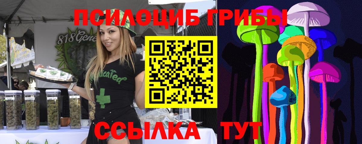 Псилоцибиновые грибы ЛСД Бор