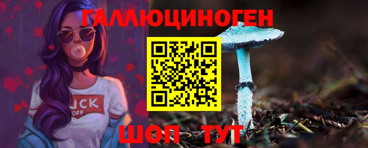 Бор  Галлюциногенные грибы прущие грибы  Псилоцибиновые грибы Psilocybe  Вход с VPN 
